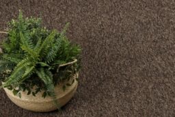 RugsX Round Superstar Rug in Brown - Size: 100 cm diameter - thumbnail 5