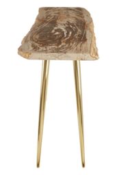 Orsina Unique Petrified Wood Console Table, Wooden Top Sofa Table For Bedroom, Durable Constructed Hallway Table in Natural - thumbnail 5