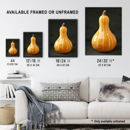 "Artery8 Shiny Butternut Squash Pumpkin Photograph Framed Art Print in Orange - Size: W12"" x H16""" - thumbnail 3