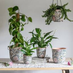 Ivyline Maisie Vintage Pattern Blush Metal Plant Pot Set of 2 - thumbnail 1