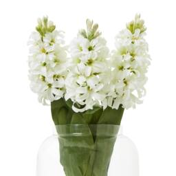 Sostter White Hyacinth Faux Stem for Effortless Home Style in Natural White - Size: Small - thumbnail 3
