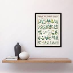 Artery8 School & family charts No XXII Calkins Framed Wall Art Print in White - Size: A4 - thumbnail 4