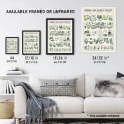 Artery8 School & family charts No XXII Calkins Framed Wall Art Print in White - Size: A4 - thumbnail 3