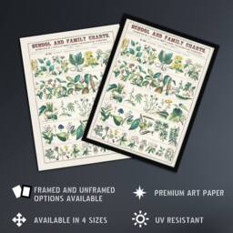 Artery8 School & family charts No XXII Calkins Framed Wall Art Print in White - Size: A4 - thumbnail 2