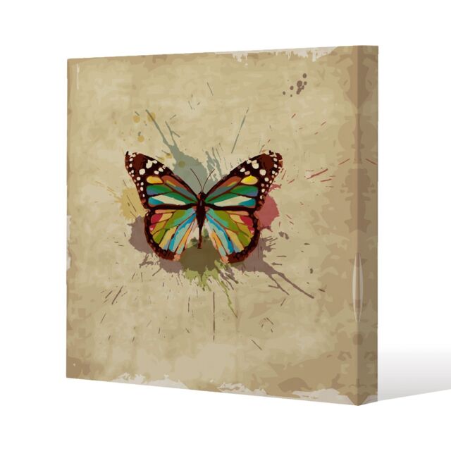 Benjamin Tate Design Butterfly & Paint Splats (Canvas Print) / 61 x 61 x 4cm in Natural - Size: 61 x 61 x 4 cm - image 1