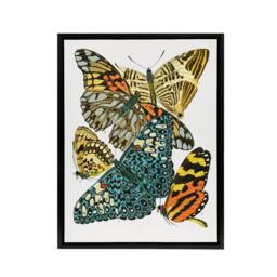 "Artery8 Vintage Butterflies Blue Yellow Framed Canvas Wall Art Print Seguy - Size: W24"" x H32""" - thumbnail 1