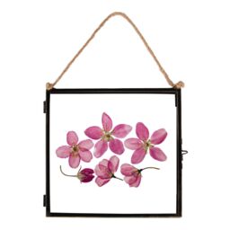 "Nicola Spring Hanging Metal Photo Frame - 8"" x 8"" - Picture Frame Wall Mounted Frame with Rope in Black" - thumbnail 1
