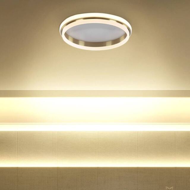 Wyld and Coco 64cm LED Flush Mount Ring Light Gold Gloss Steel Opal Acrylic Shade in White - image 1