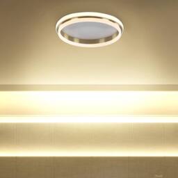 Wyld and Coco 64cm LED Flush Mount Ring Light Gold Gloss Steel Opal Acrylic Shade in White