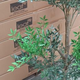 Leaf Realistic Artificial Tree 165cm Fire Retardant Nandina Commercial Use in Green - thumbnail 6