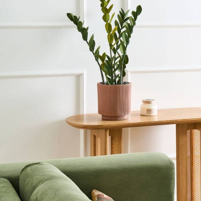 Wyld and Coco 76cm Artificial Potted Zamiifolia Green and Black Indoor Decorative - image 1