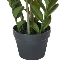 Wyld and Coco 76cm Artificial Potted Zamiifolia Green and Black Indoor Decorative - thumbnail 5