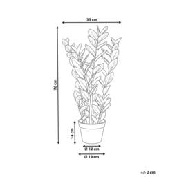 Wyld and Coco 76cm Artificial Potted Zamiifolia Green and Black Indoor Decorative - thumbnail 4
