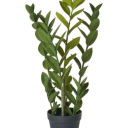 Wyld and Coco 76cm Artificial Potted Zamiifolia Green and Black Indoor Decorative - thumbnail 2