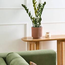 Wyld and Coco 76cm Artificial Potted Zamiifolia Green and Black Indoor Decorative