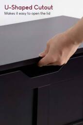 Home Discount Vida Designs Storage Ottoman Spacious Storage Space-saving Design in Black - thumbnail 6