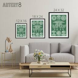 "Artery8 Discomedusae Jellyfish Species Haeckel Botanical Framed Canvas Art in Green - Size: W12"" x H16""" - thumbnail 4