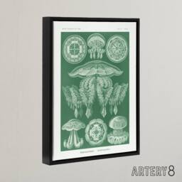 "Artery8 Discomedusae Jellyfish Species Haeckel Botanical Framed Canvas Art in Green - Size: W12"" x H16""" - thumbnail 2