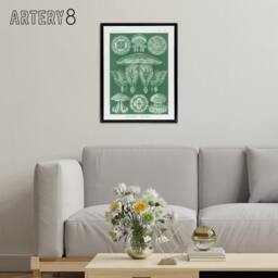 "Artery8 Discomedusae Jellyfish Species Haeckel Botanical Framed Canvas Art in Green - Size: W12"" x H16""" - thumbnail 3
