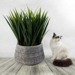 Leaf Large Composite Embossed Planter in Grey - thumbnail 1