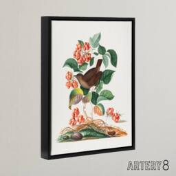 "Artery8 Eurasian Wren & Raspberry Plant Bolton Black Framed Canvas Wall Art - Size: W12"" x H16""" - thumbnail 2