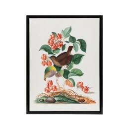 "Artery8 Eurasian Wren & Raspberry Plant Bolton Black Framed Canvas Wall Art - Size: W12"" x H16""" - thumbnail 1