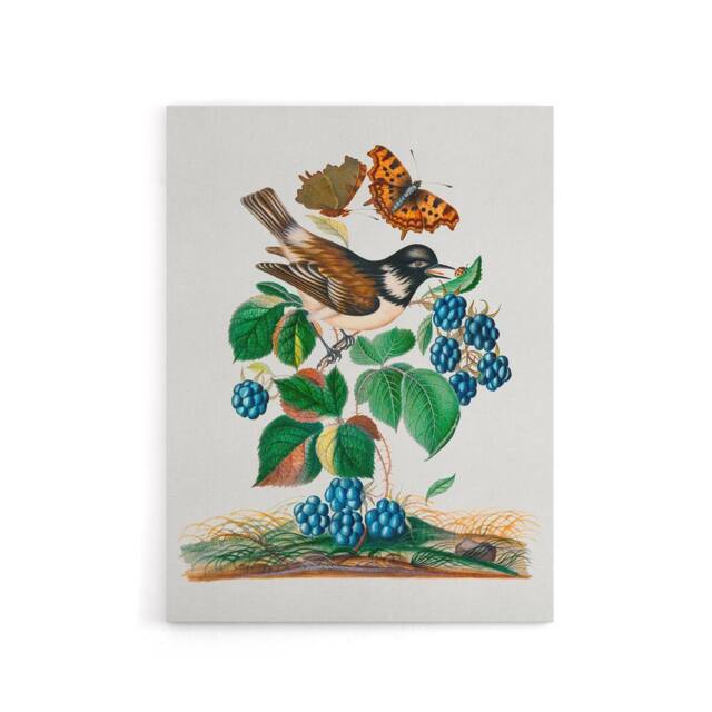 "Artery8 Bramble Rubus Starling & Butterflies Bolton Canvas Wall Art - Size: W24"" x H32""" - image 1