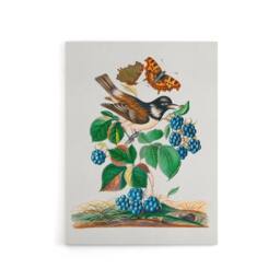 "Artery8 Bramble Rubus Starling & Butterflies Bolton Canvas Wall Art - Size: W24"" x H32""" - thumbnail 1