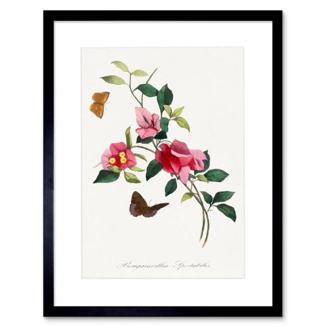 "Wee Blue Coo Bougainvillea Pretty Pink Floral Vine Bloom Butterflies Framed Art - Size: W12"" x H16""" - image 1