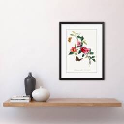 "Wee Blue Coo Bougainvillea Pretty Pink Floral Vine Bloom Butterflies Framed Art - Size: W12"" x H16""" - thumbnail 2