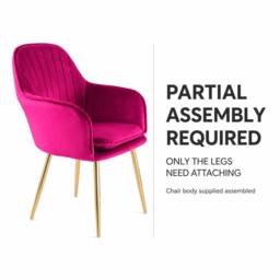 Genesis Muse Velvet Accent Chair Upholstered Modern Chair with Backrest in Fuchsia - Size: 1 Seater - thumbnail 6
