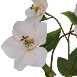 Hill Interiors The Natural Garden Collection Hellebore Artificial Flower in Green - thumbnail 4