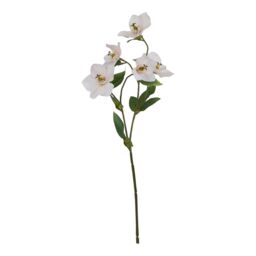 Hill Interiors The Natural Garden Collection Hellebore Artificial Flower in Green