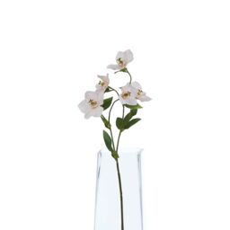 Hill Interiors The Natural Garden Collection Hellebore Artificial Flower in Green - thumbnail 3