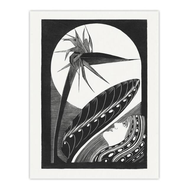 "Artery8 Strelitzia Overblown & Full Moon De Mesquita Wall Art Poster Print in White - Size: W12"" x H16""" - image 1