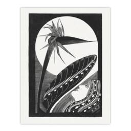 "Artery8 Strelitzia Overblown & Full Moon De Mesquita Wall Art Poster Print in White - Size: W12"" x H16""" - thumbnail 1