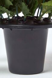 Homescapes Artificial Red Poppy Flower Arrangement in Grave Pot - thumbnail 3