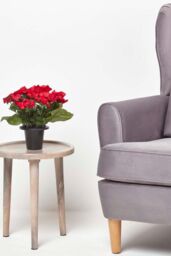 Homescapes Artificial Red Poppy Flower Arrangement in Grave Pot - thumbnail 6