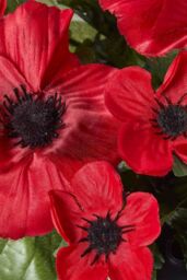 Homescapes Artificial Red Poppy Flower Arrangement in Grave Pot - thumbnail 4