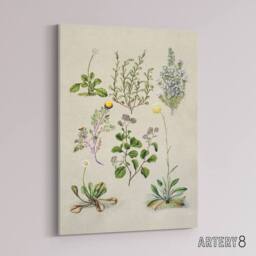 "Artery8 Native New Zealand Wildflowers Artwork Featon Canvas Wall Art Print in Beige - Size: W24"" x H32""" - thumbnail 2