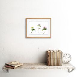 "Artery8 Wall Art Print Marigold Geranium Trillium Art Framed 9x7 inch in Beige - Size: W7"" x H9""" - thumbnail 2