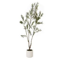 Lemon Pavilion Furniture and Decor Apulia Olive Tree in Pot 210 cm, Plastic, Height 210 cm, Brown/White in Brown - thumbnail 1