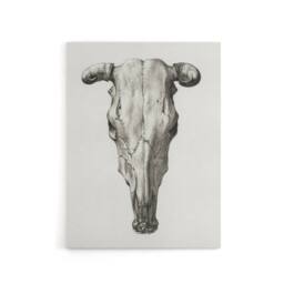 "Artery8 Skull of a Cow Pencil Drawing Bernard Vintage Canvas Wall Art in White - Size: W18"" x H24""" - thumbnail 1