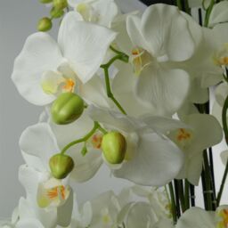 Leaf Giant White Orchid Plant Artificial 189 flowers REAL TOUCH Botanik in Green - thumbnail 2