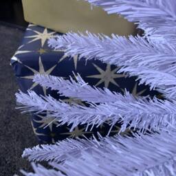 Samuel Alexander 6ft (180cm) White Pencil Pine Christmas Tree with 321 Tips - thumbnail 5
