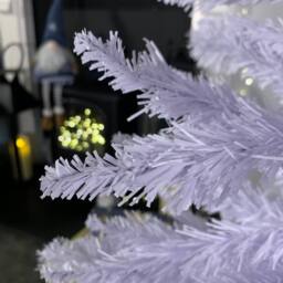 Samuel Alexander 6ft (180cm) White Pencil Pine Christmas Tree with 321 Tips - thumbnail 3