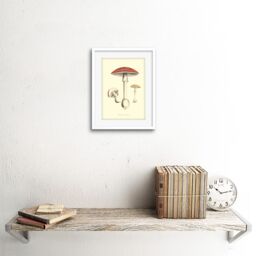 "Artery8 Wall Art Print Fungus Amanita Muscaria Fly Agaric Magic Mushroom Art Framed 9x7 inch in White - Size: W7"" x H9""" - thumbnail 2