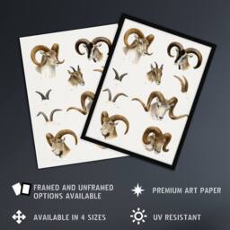 Artery8 Wild Bovidae Vintage Illustration Lydekker Framed Wall Art Print in White - Size: A4 - thumbnail 2