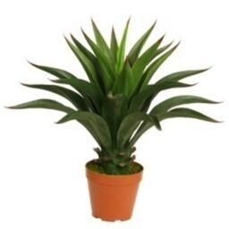 Leaf Yukka Artificial Tree Plant Realistic 60cm Deluxe in Green - thumbnail 1