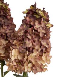 Lemon Pavilion Furniture and Decor Artificial Spear Hydrangea - Plastic - L15 x W15 x H88 cm - Burgundy - thumbnail 6